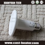 ceramic heater lamp for pet
